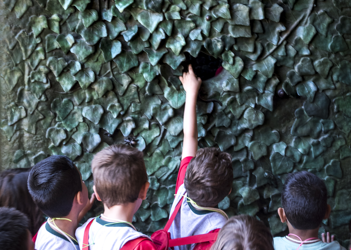 Sagrada Família reopens school visits
