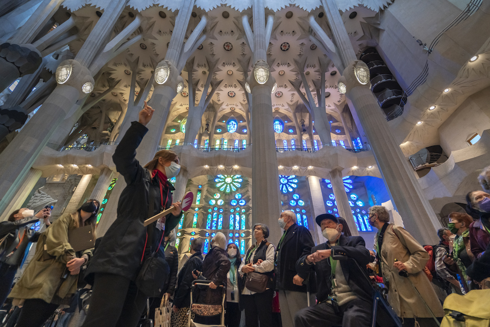 Art installation to commemorate Sant Jordi.