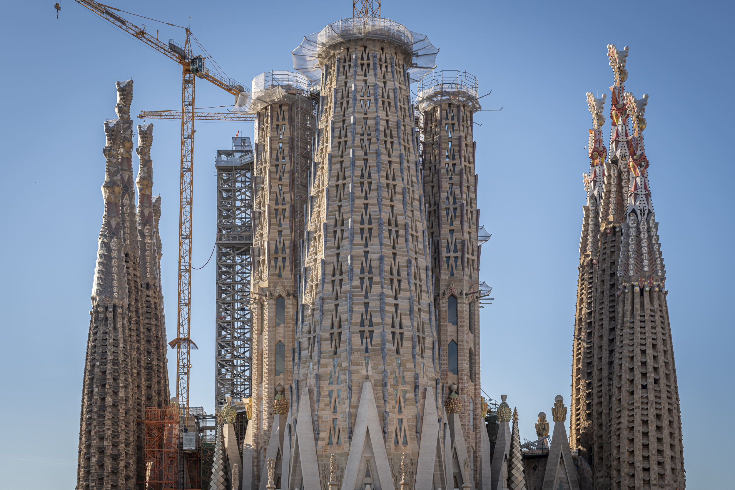 Renovats els membres del Patronat de la Fundació