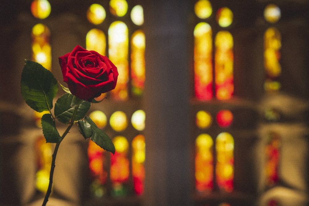 Se anuncian las personas ganadoras de las entradas para la visita fuera de horario en la víspera de Sant Jordi