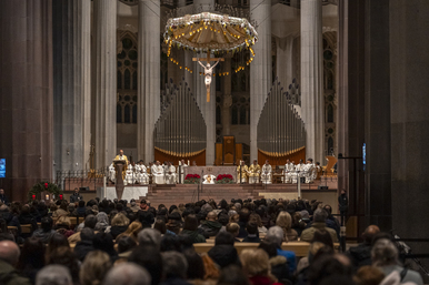 Mass of the Liturgical Feast of the Sagrada Família